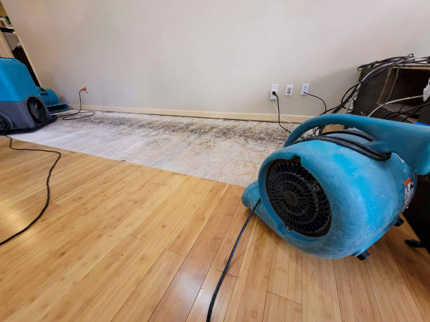Professional Sewage Cleanup technician working in Nelsonville, WI